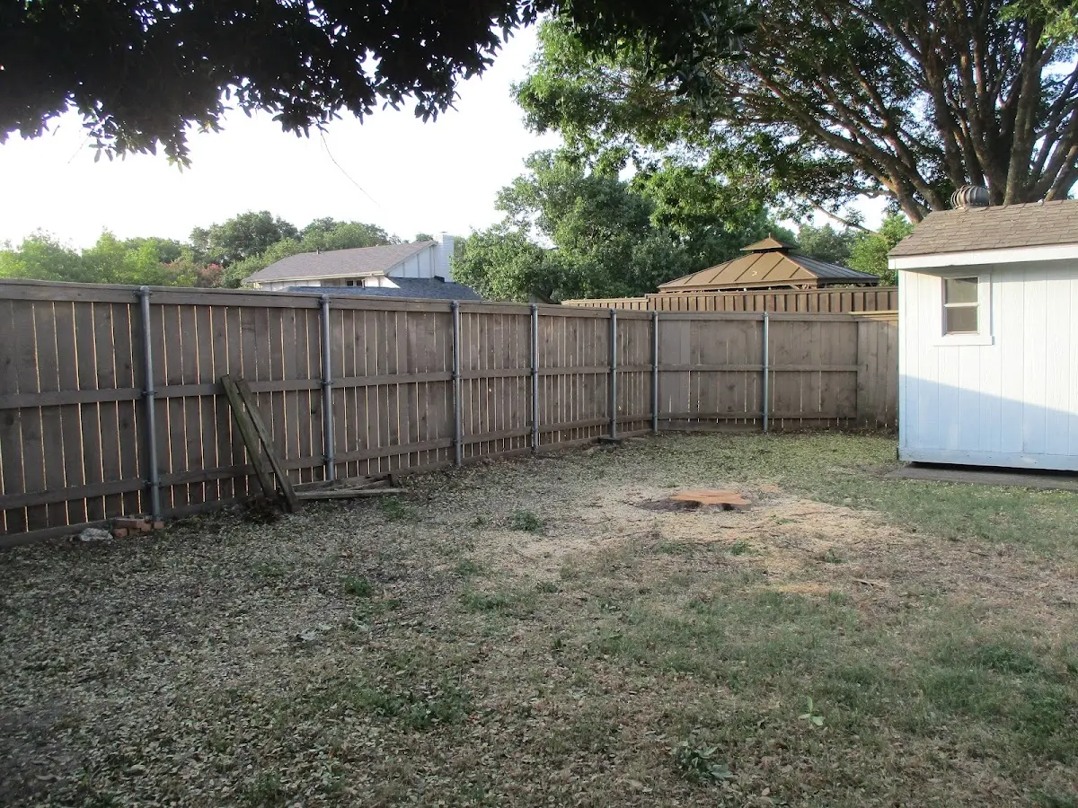Cleared yard after professional tree removal in Imperial Beach